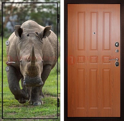 Металлическая дверь с фотопечатью носорога ДФ-31 в Саранске
