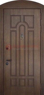 Коричневая стальная дверь с виноритом в форме арки ДВТ-237 в Саранске